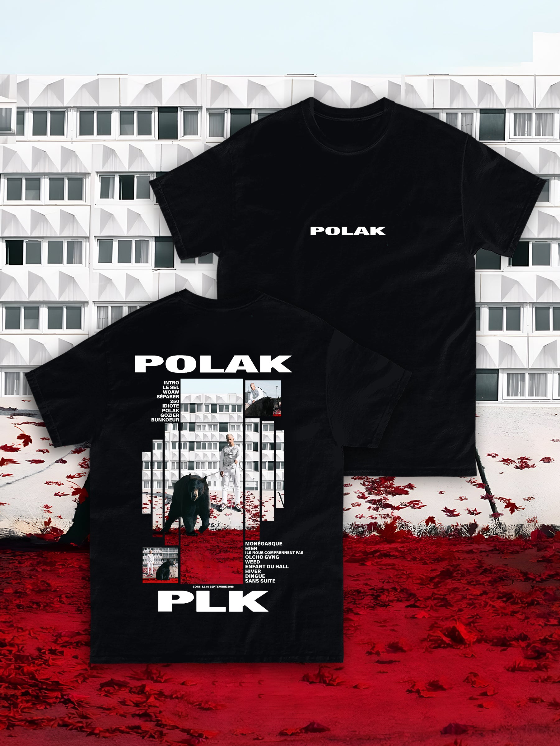 T-shirt POLAK - Introvrtee